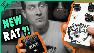 Can this be BETTER than the RAT ? | Tate FX Sirens Scream Distortion | Gear Corner