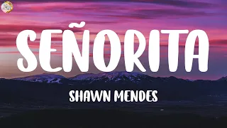 Señorita - Shawn Mendes / Lyrics ~ One Direction, Rema, Passenger / Mix