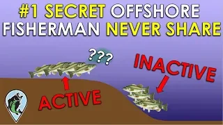 Fish Finder Secret Pros Don't Want You To Know! | Bass Fishing Sonar