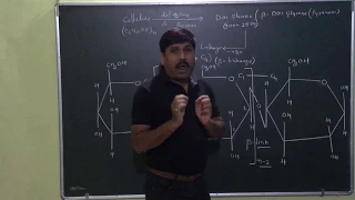 Structure Of Cellulose