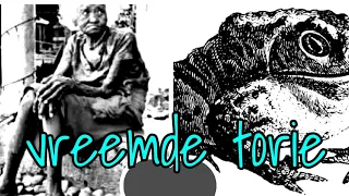 Suriname:vreemde Torie(s)