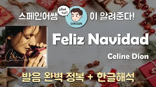 [스페인어노래] 크리스마스 대표캐롤 팝 Feliz Navidad - Celine Dion 가사해석 + 발음 완벽정복