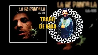 TRAGO DE VIDA│La Repandilla│Disco "Kaka Nene"