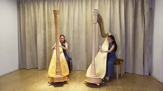 Smetana: Vltava (The Moldau)- Harp Duet