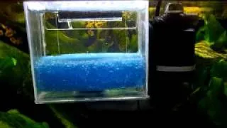 DIY aquarium surface skimmer (covered :) )