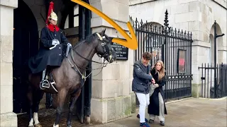 King’s Horse BITE Tourist! Watch UNBELIEVABLE Moments 😳❤️