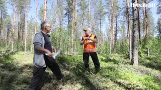 Puunkorjuun tulevaisuus suometsissä | Metsälehti