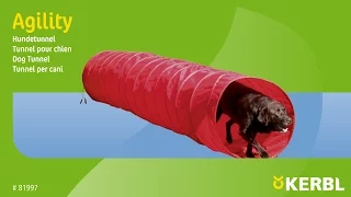 Agility Dog Tunnel