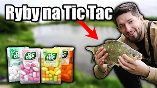 ŁOWIĘ RYBY na TIC TAC