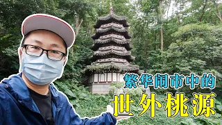 【Vlog】隐藏在繁华闹市中的世外桃源，让人心旷神怡，在哪里呢？