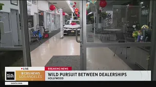 Wild pursuit ends in Beverly Hills after suspect breaks into two car dealerships