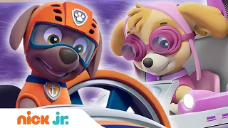 Щенячий патруль | Щенки спасают Франсуа | Nick Jr. Россия