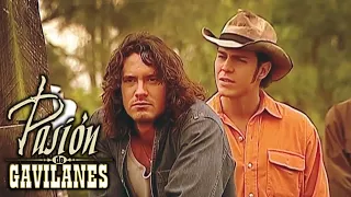 Pasion de Gavilanes: Juan y Norma (219) - Juan accepta quedarse con sus hermanos