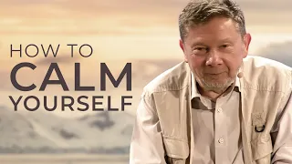How to Find Calm in Nature and Sleep Better | Eckhart Tolle