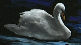 The Beauty of Oil Painting, Series 1, Episode 11, "Swan at Lithia Park"