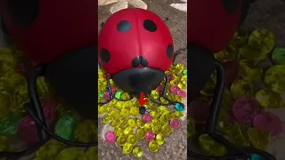 GIANT LADYBUG 🐞 VS SMALL BUG 🧐//INSECTS COMPARISON 🤨#shorts #insects #ladybug #comparison #viral