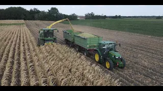 Kukorica Silózás 2022 | John Deere Team | Corn Silage
