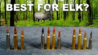 The Best All-Around Cartridges for Elk