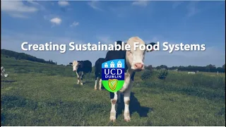 Creating Sustainable Food Systems at UCD