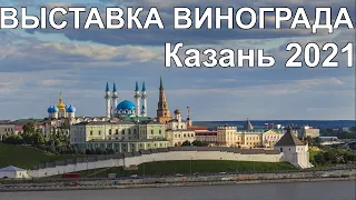 Межрегиональная выставка винограда в Казани 12 сентября 2021 года.