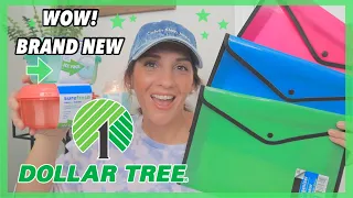 DOLLAR TREE HAUL **BRAND NEW** JACKPOT GEM FINDS $1.00