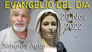 Evangelio Del Dia Hoy - Domingo 20 Noviembre 2022- Sangre y Agua