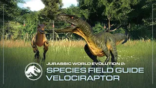 Species Field Guide | Velociraptor | Jurassic World Evolution 2