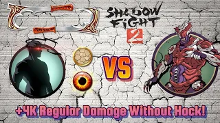 Shadow Fight || My Personal Record || +4K Regular Damage No Hack/No Charges 💥