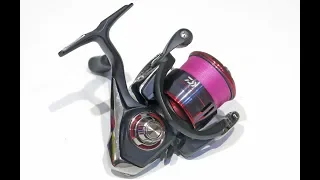 Daiwa FUEGO LT 2500 - так ли хороша, как хвалят?