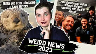 Patient Passenger gets flight to himself | Angry Sea Otter Causes Surfer Chaos | Weird News 2023
