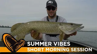 Savage Summer Vibes - Short Morning Session with Sean Wit