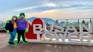 TRAIN TO BUSAN | South Korea Travel Vlog (Biff Square & Busan Tower)