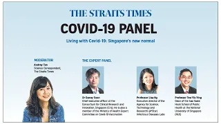 Living with Covid-19: Singapore’s new normal | Expert panel | The Straits Times