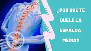 21 - ¿Por qué te duele la espalda media?