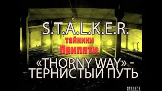 тайники Припяти, S.T.A.L.K.E.R. Тернистый путь