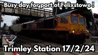 Trains at Trimley Station 17/2/24 | Busy day for Port of Felixstowe ! #trimley #class66 #railway