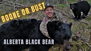 MASSIVE BLACK BEAR | Alberta Archery Bear Hunt