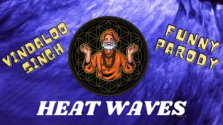 Heat Waves Funny Parody (Indian Remix) - Vindaloo Singh