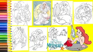 Disney The Little Mermaid COMPILATION Coloring Book -Princess Ariel Eric Ursula King Triton Flounder