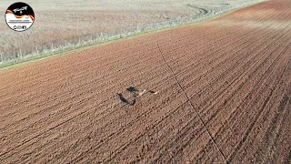 CARRERAS DE GALGOS DESDE DRON ,CERCON DE MARIANO             GREYHOUNDS AND HARES