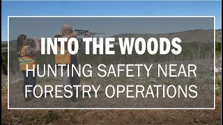 Hunting Safety Near Forestry Operations