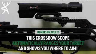 Review: Burris Oracle X Rangefinding Crossbow Scope