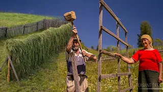 HAY Making in Romania