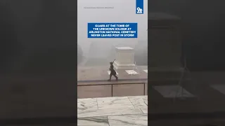 Guard at the Tomb of the Unknown Soldier at Arlington National Cemetery never leaves post in storm