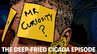 The Deep-Fried Cicada Episode | Mr. Curiosity Podcast