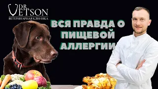 Вся правда о пищевой аллергии у собак