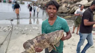 ലക്ഷം രൂപയുടെ മീന്‍...ചെല്ലാനത്ത് ചാകര