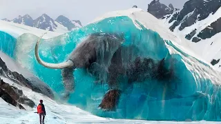 Most INCREDIBLE Animals Found Frozen In Ice!