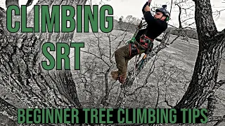 Tree Climbing Beginners Guide To Climbing SRT/SRS