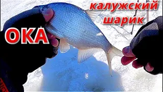 Вода прёт. КАЛУЖСКИЙ ШАРИК ловит. Рыбалка на ОКЕ в конце февраля 2022.